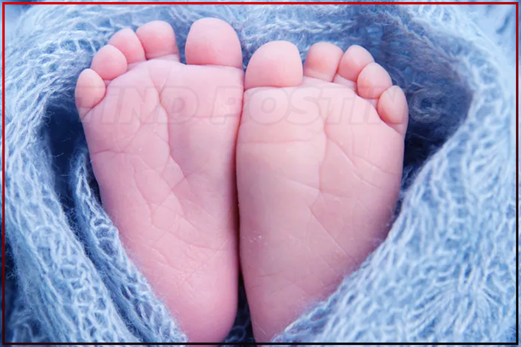 Lohardaga News: Dogs eating dead body of newborn. Parents threw the baby in garbage. Shameful act
