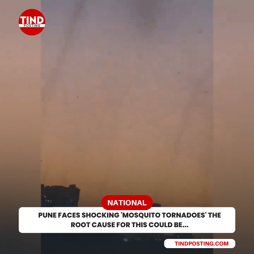 Pune Faces shocking 'Mosquito Tornado' Watch shocking video...