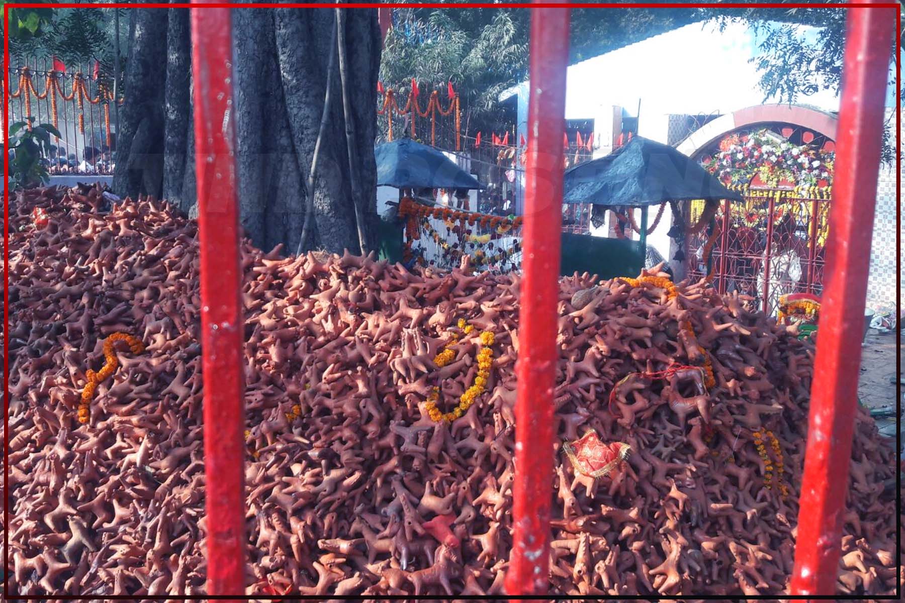Saraikela News: Tragic Accident Near Ghoda Baba Temple Claims Life: Tanker Fatally Strikes Bike Rider on Tata-Kandra Road