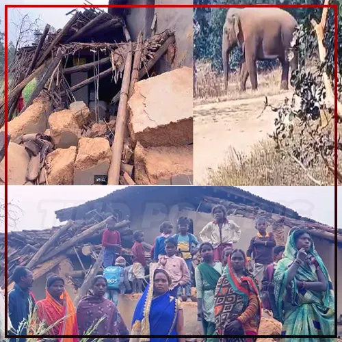 Jharkhand News: Rampaging elephant destroys homes and causes havoc in Garhwa