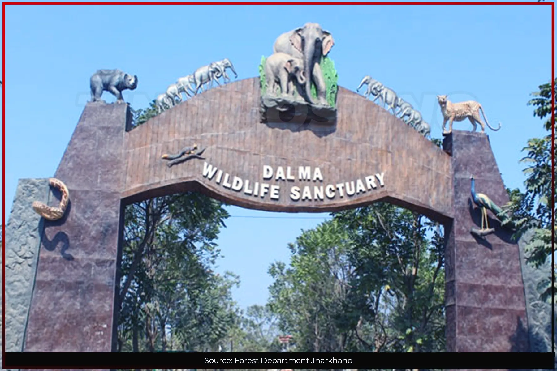 Jamshedpur News: Forest department seizes JCB trying to encroach upon forest land in Dalma