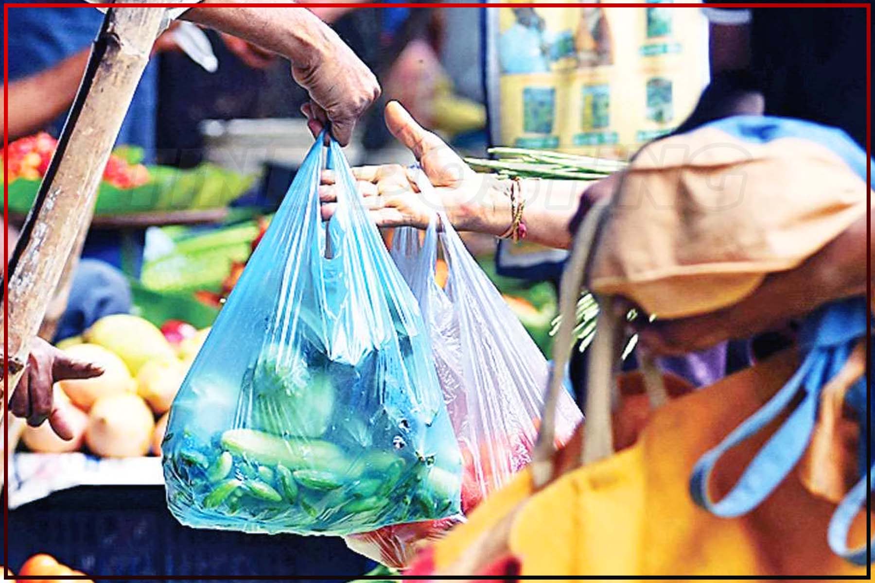 Jamshedpur News: Sakchi vegetable store found to be in possession of 314 kg of plastic bags; fined Rs 25,000