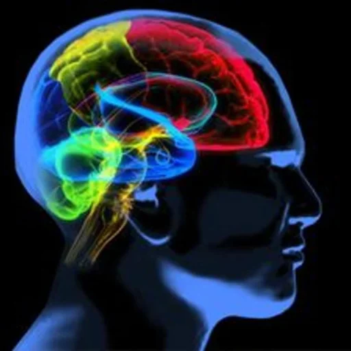 Alzheimer's Treatment Market Set for Massive Growth, Reaching $19.3 Billion by 2033