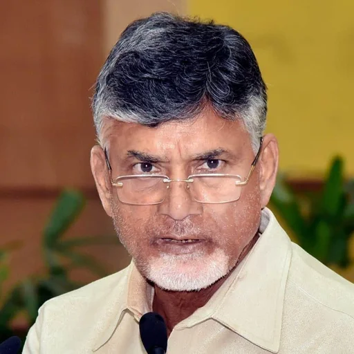 Andhra Pradesh Chief Minister Courts Global Investors at Davos Forum