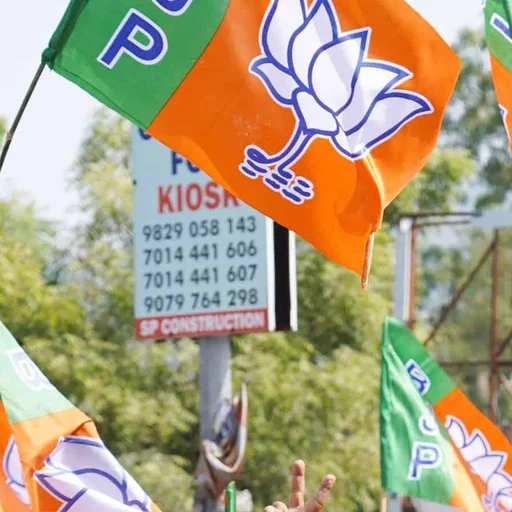 Delhi BJP Demands Scrutiny of AAP's Crowdfunding Over Suspected Hostile Funding