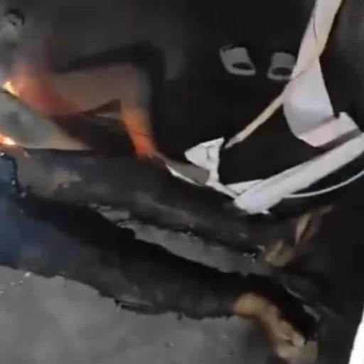 Hyderabad Laborers Die After Electrocution While Removing Hoarding