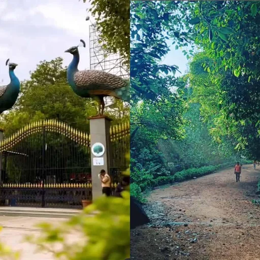 Hyderabad's 390-Acre KBR Park Offers Urban Oasis, Nature Escape