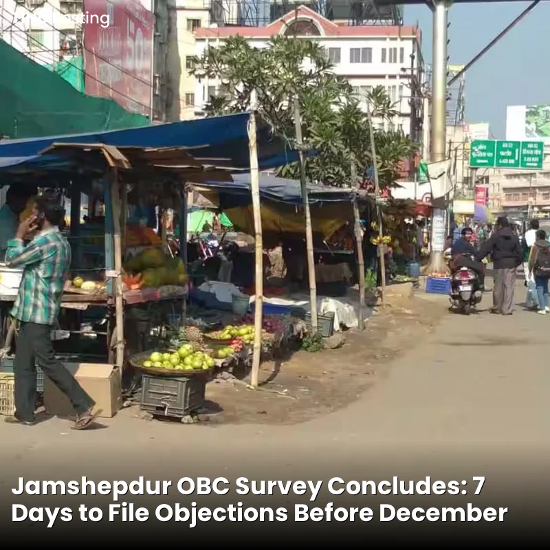 Jamshepdur OBC Survey Concludes: 7 Days to File Objections Before December Elections