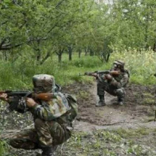 Latest: Jharkhand Security Forces Kill 2 Naxalites, Including Female Commander