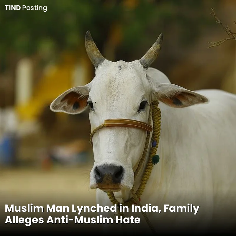 Muslim Man Lynched in India, Family Alleges Anti-Muslim Hate