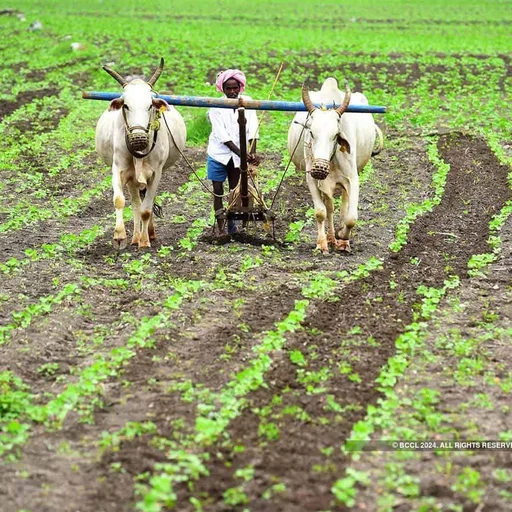 Telangana Farmers to Receive ₹12,000 Per Acre Under New Rythu Bharosa Scheme