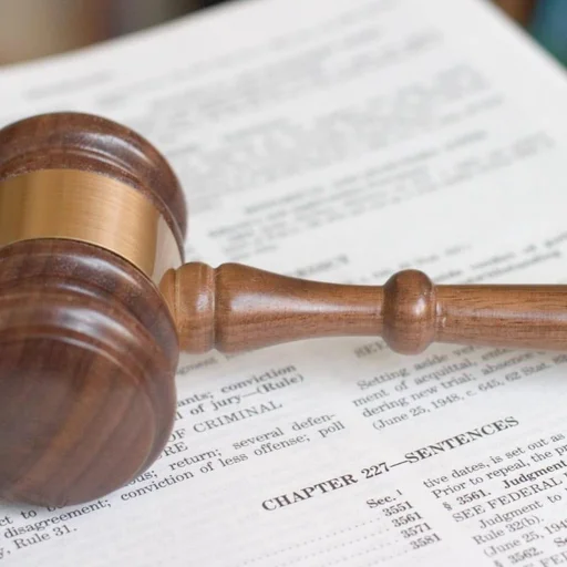 Telangana Man Gets 20 Years for Child Sexual Assault, Court Orders Compensation