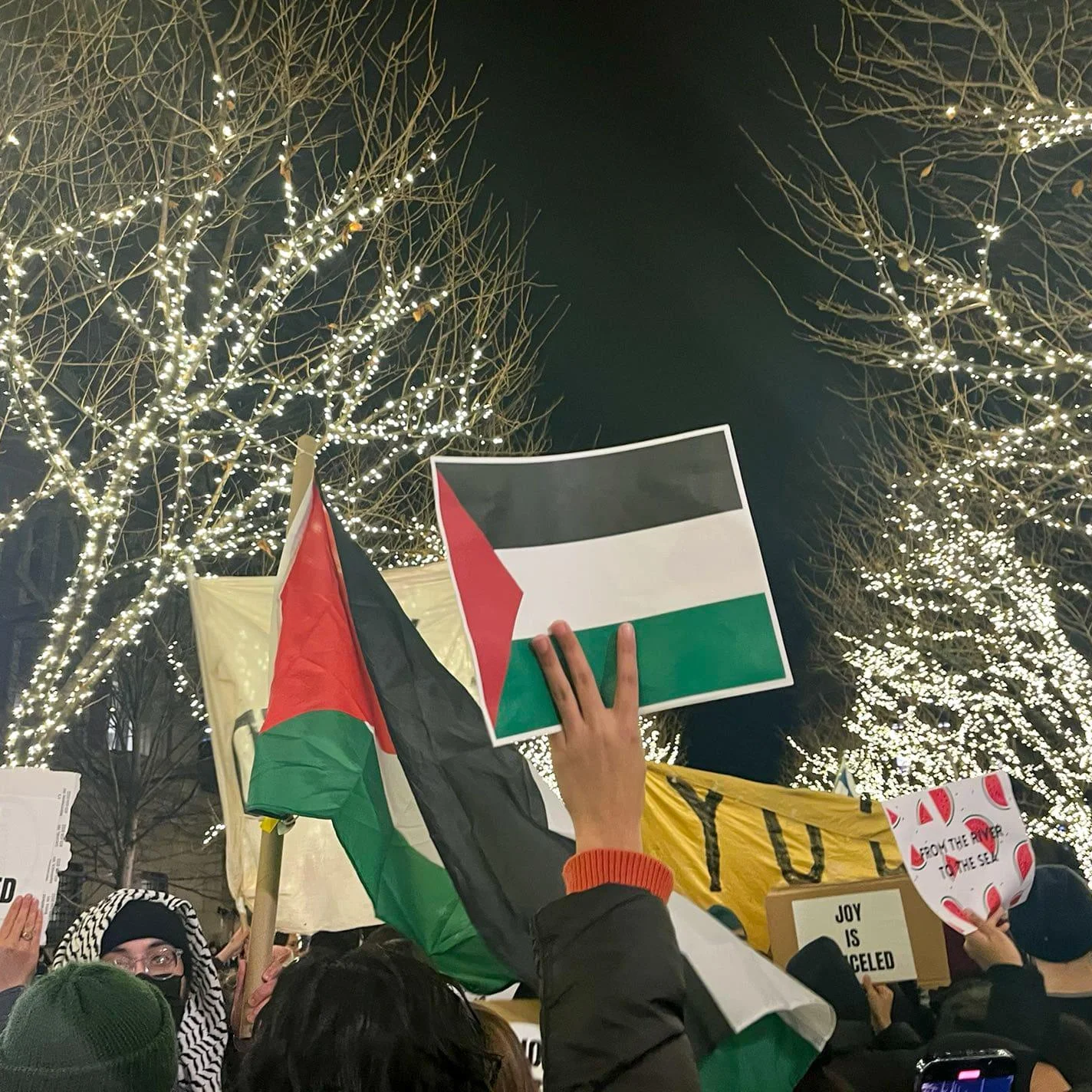 Trump Orders Deportation of Pro-Palestinian Protesters, Student Visas Canceled Starting 2025