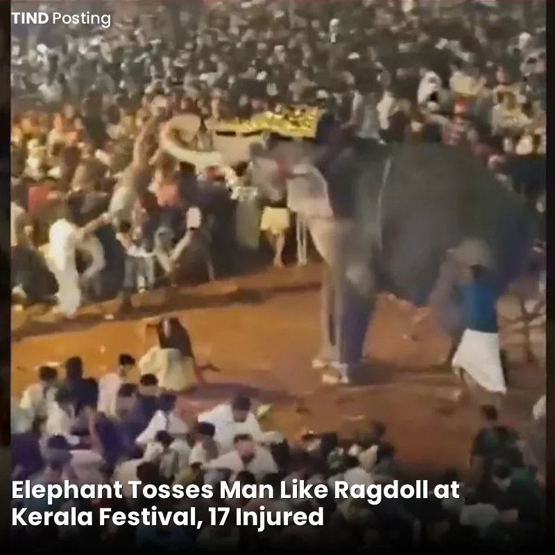 Elephant Tosses Man Like Ragdoll at Kerala Festival, 17 Injured