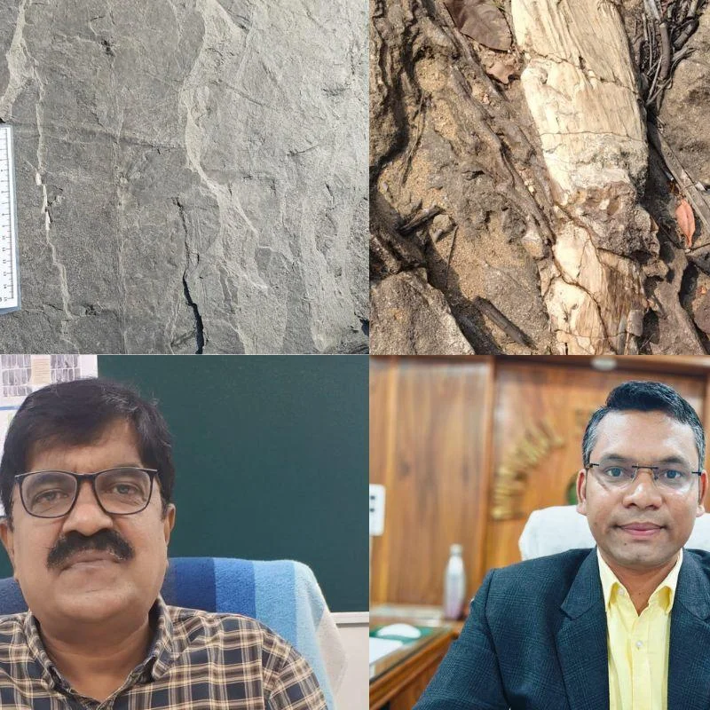 Jharkhand Fossil Find: 280-Million-Year-Old Leaves Unearthed, Set for Protection