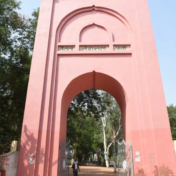 Latehar Woman, 40, Dies By Suicide in Nawadih Village