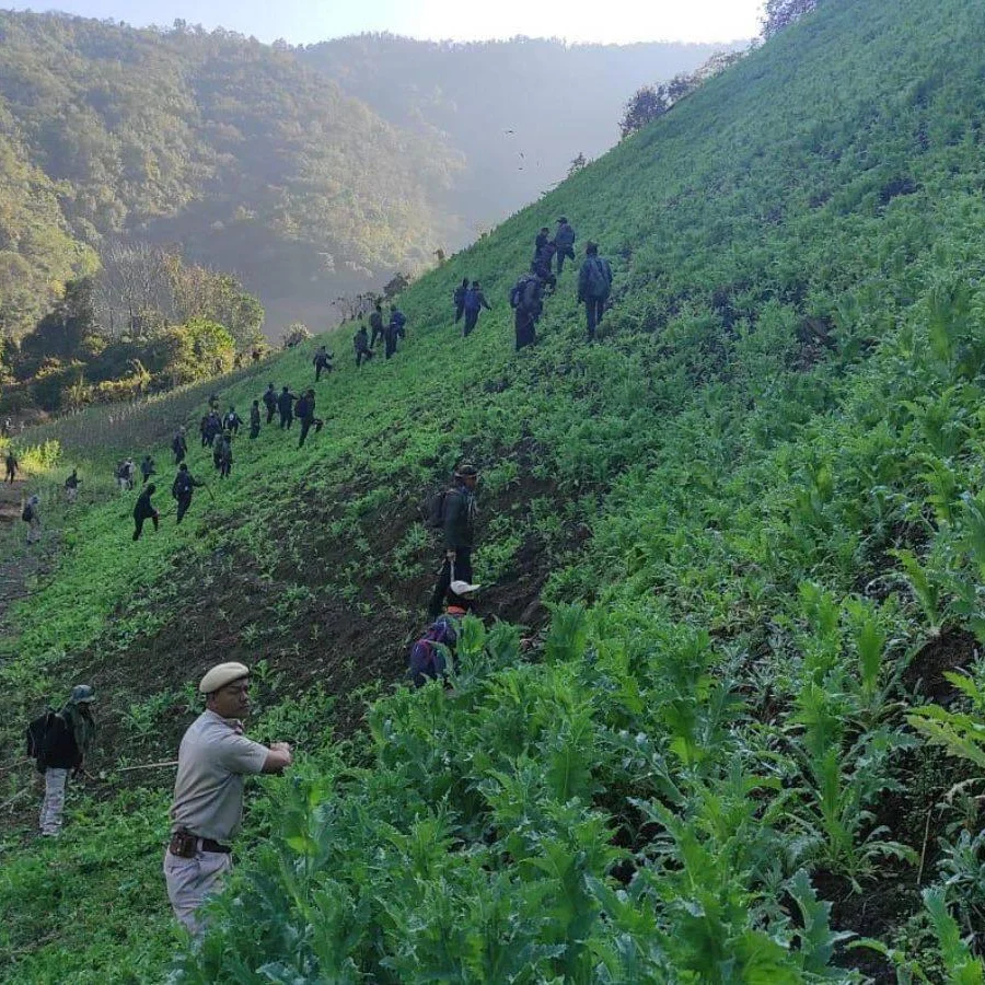 Manipur Destroys 25+ Acres of Poppy Fields in Latest Drug Crackdown